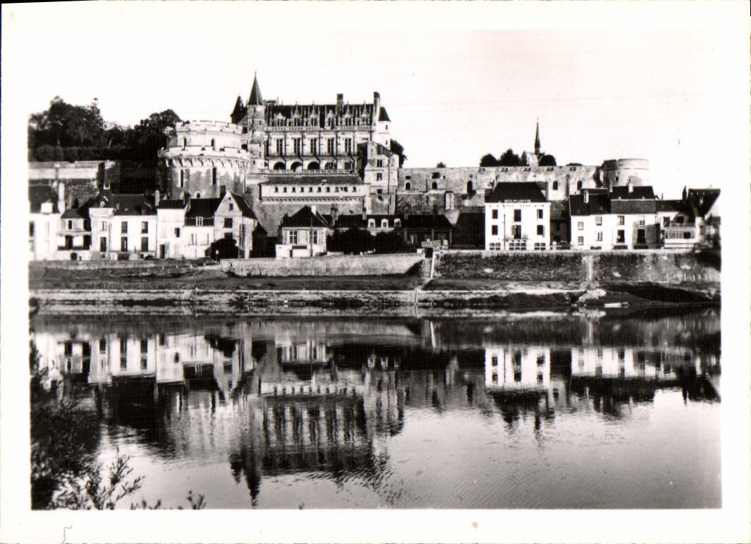 CPM Le Chateau D'amboise Le Chateau Et La Loire 