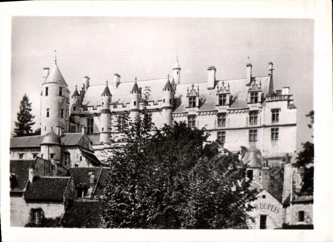 CPM Le Chateau De Loches Le Logis Du Roi