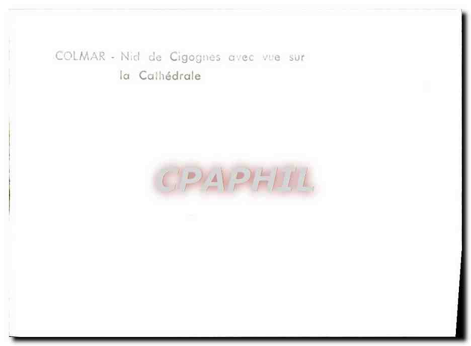 CPM Colmar Nicl de Cigognes avec vue sur la Cathedrale — Rückseite