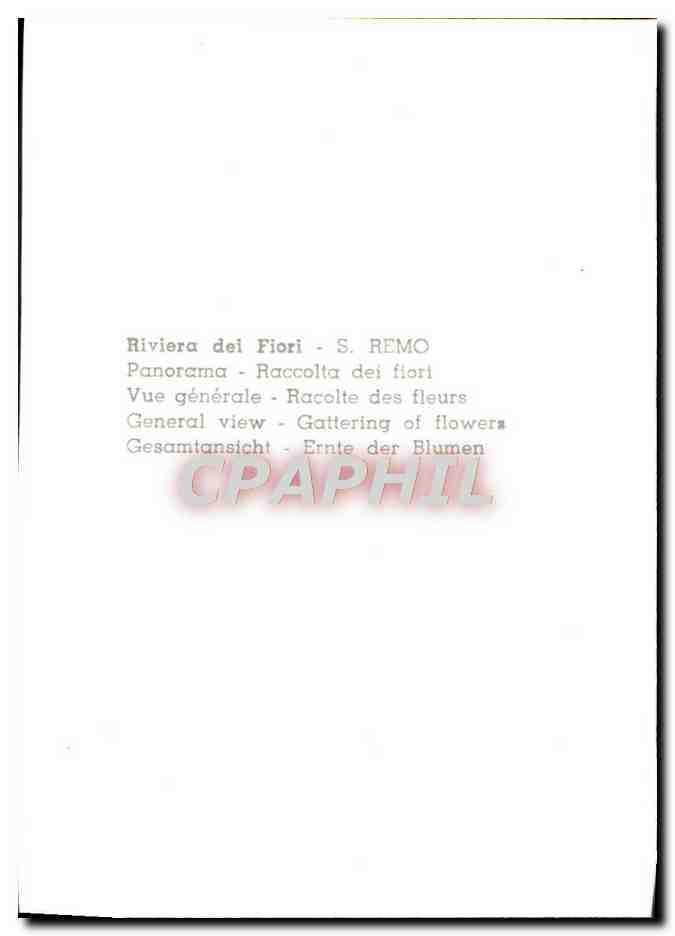 CPM Riviera dei Fiori Remo La Primavera — Rückseite