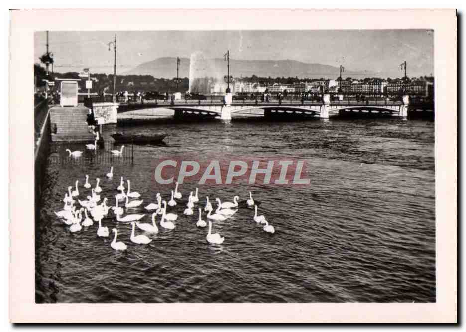 CPM Geneve Le Lac Leman et le Jet D'eau