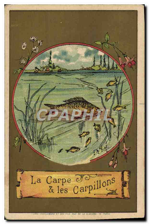 Chromo La carpe et les carpillons Poissons Florian