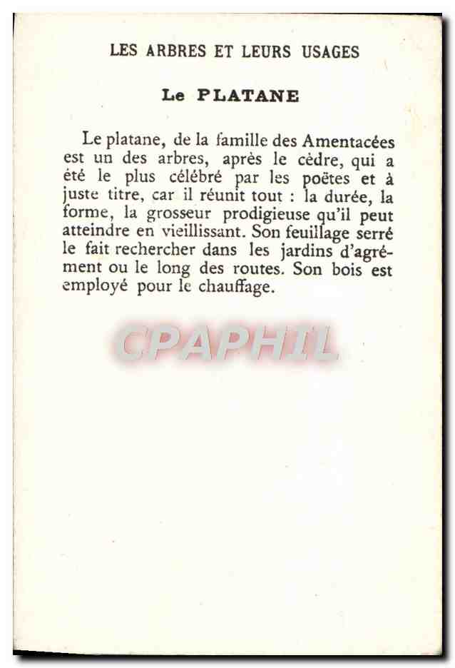 Le Platane — Les Arbres et leurs Usages — CPAPHIL — Rückseite