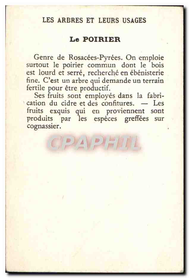 Chromo Les arbres et leurs usages Le poirier — Rückseite