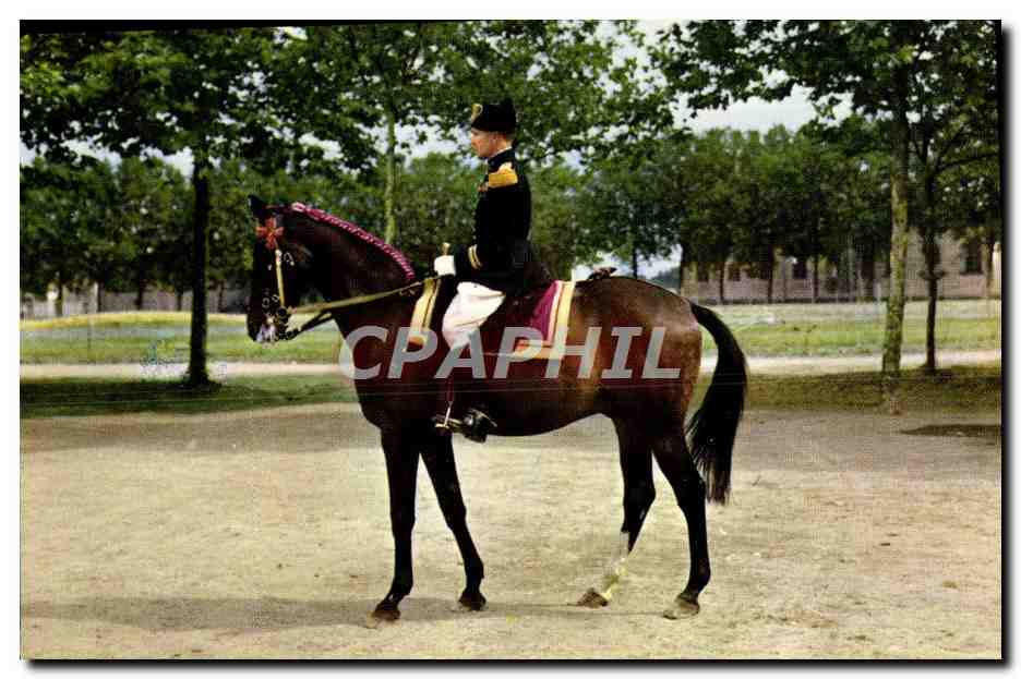 CPM Saumur Officier du cadre noir Cavalier Cheval Hippisme Militaria