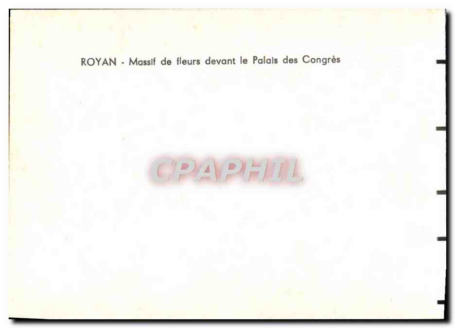 CPM Royan Massif de Fleurs Devant le Palais des Congres — Back