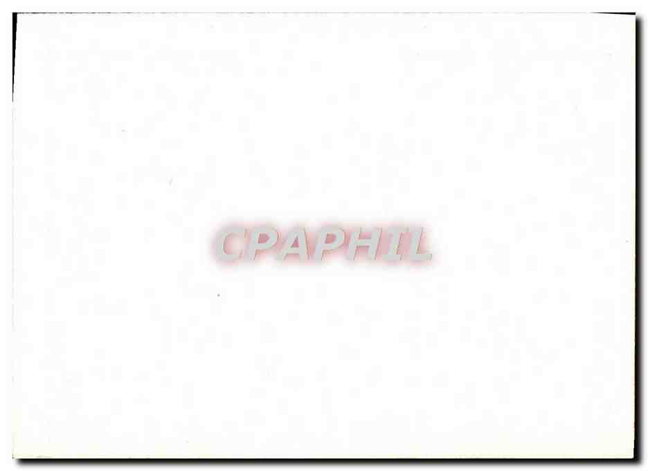 CPM Versailles Chambre De Marie Antoinette — Verso