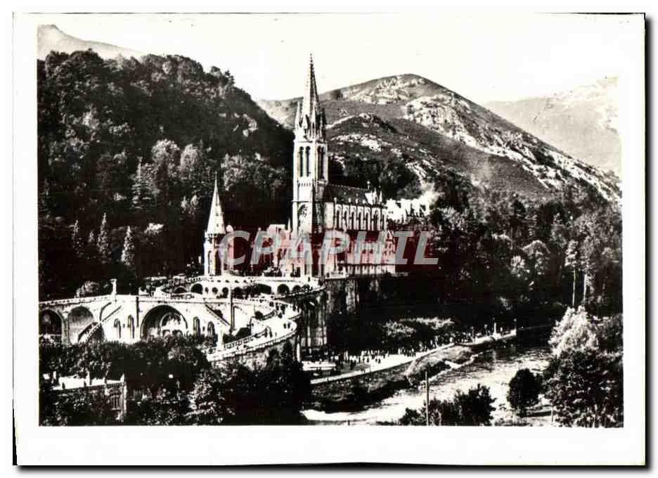 CPM Lourdes La Basilique Et Le Gave