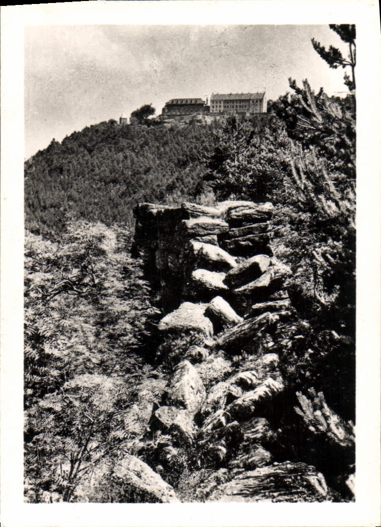 CPM Mont Sainte Odile Le Mur Palen et le Couvent