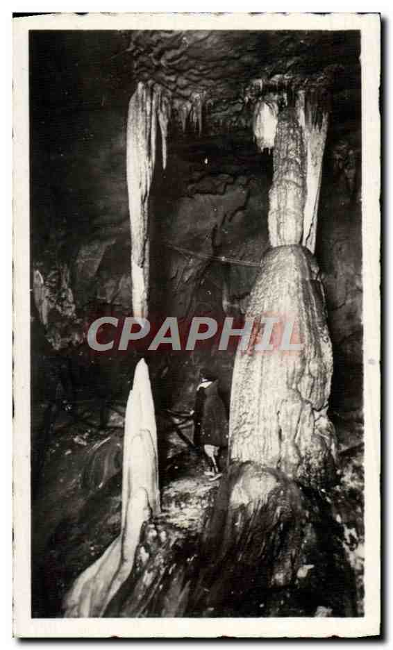 CPM Les Pyrenees Les Grottes De Betharram Stalactites Vivantes