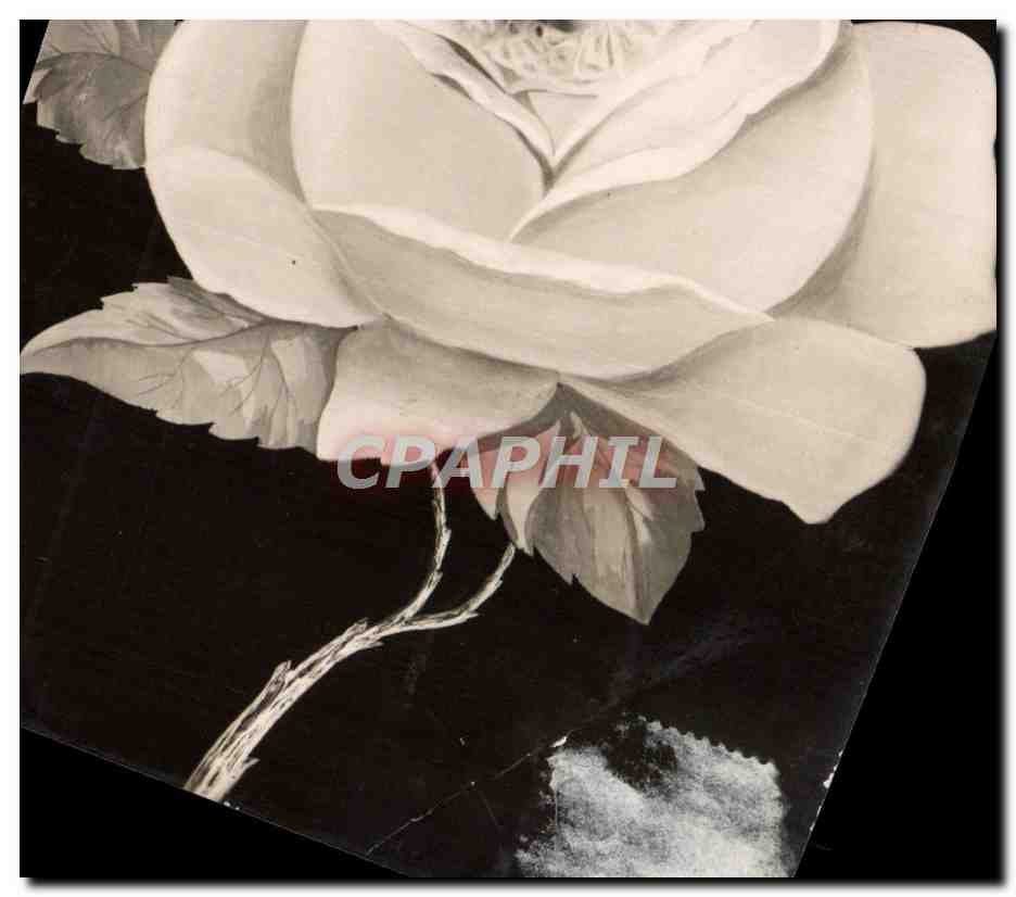 CPA Fantaisie Enfant dans une rose