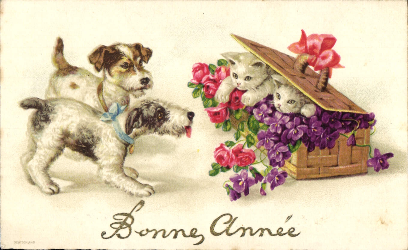 CPA Fantaisie Fleurs Chien Chiens Chat Chaton 