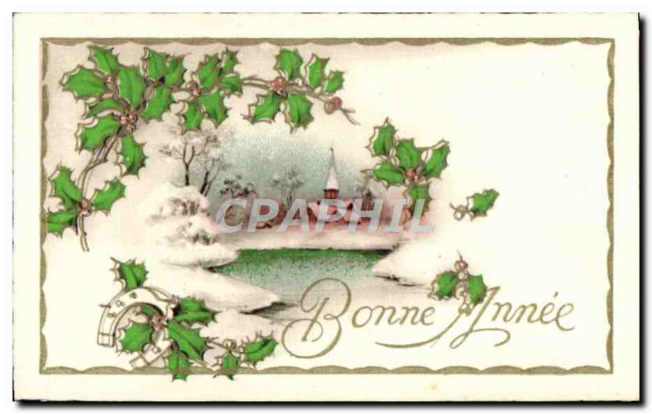 CPA Fantaisie Fleurs Bonne annee