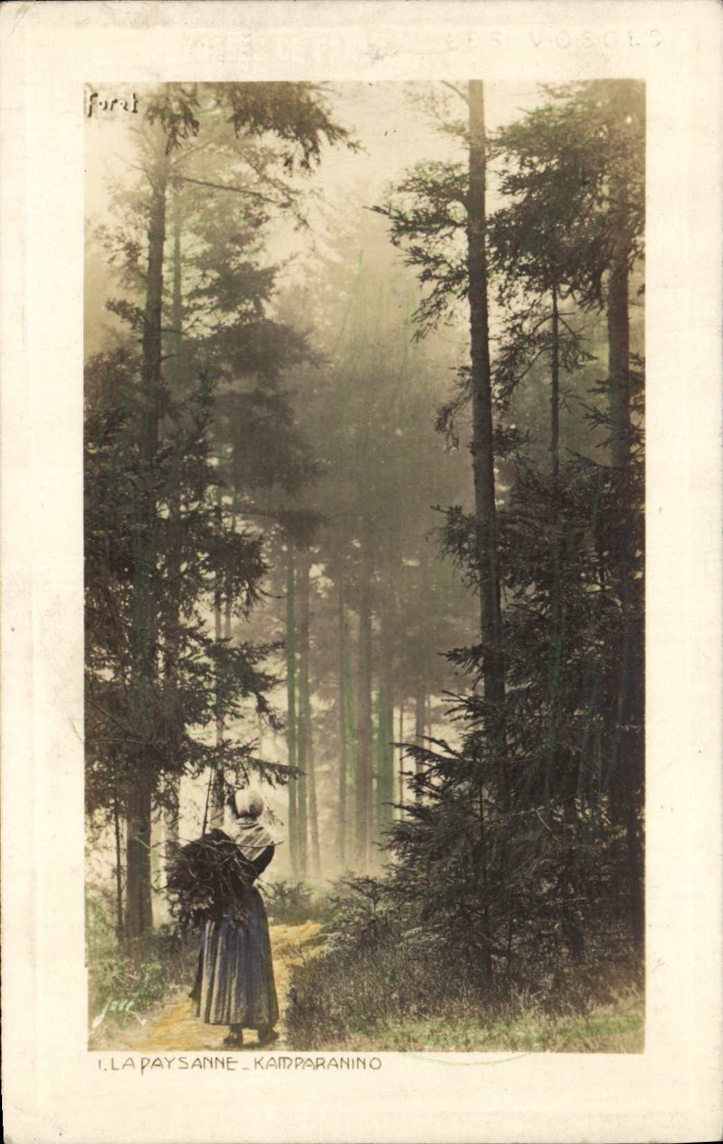 CPA La paysanne Kamparanino Les Vosges