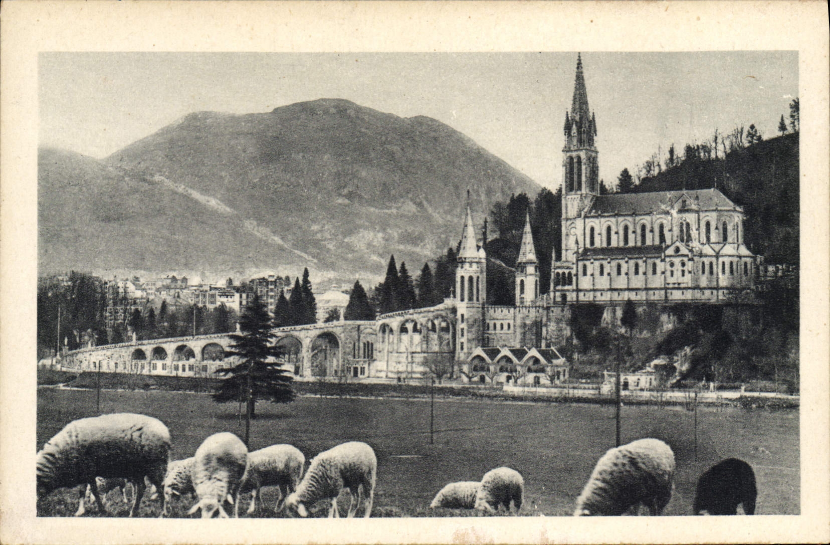 CPA Lourdes La Basilique