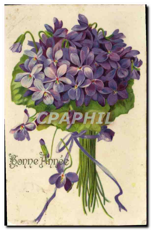 CPA Fantaisie Fleurs Bonne Annee