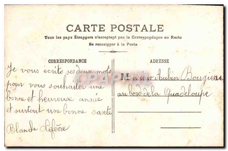 CPA Fantaisie Fleurs Bonne Heureuse Annee — Back