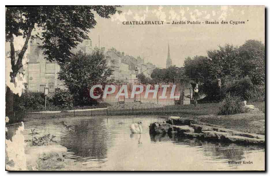 CPA Chatellerault Jardin Public Bassin Des Cygnes Cygne