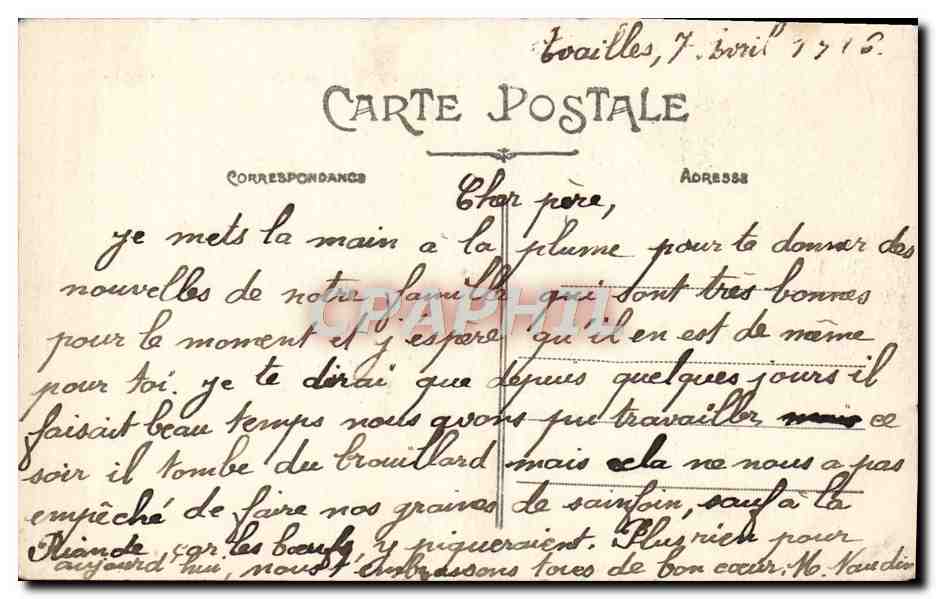 CPA Chatellerault Jardin Public Bassin Des Cygnes Cygne — Verso