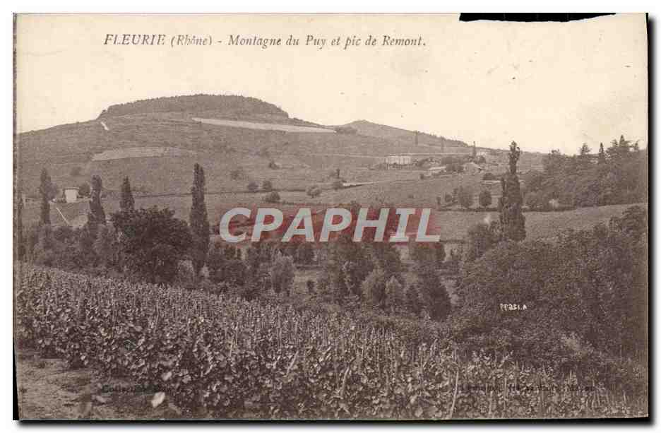CPA Fleurie Montagne Du Puy Et Pic De Remont