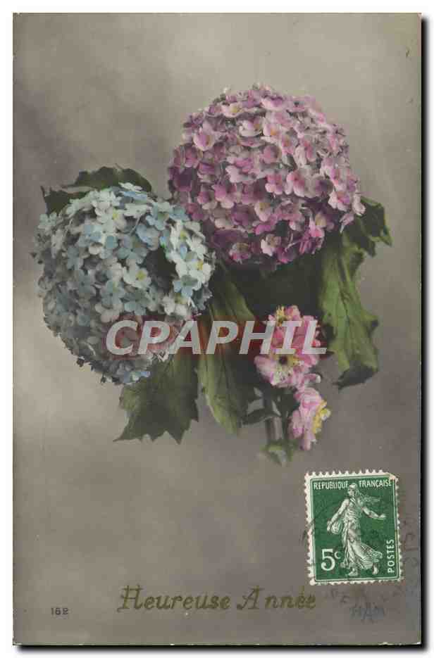 CPA Fantaisie Fleurs