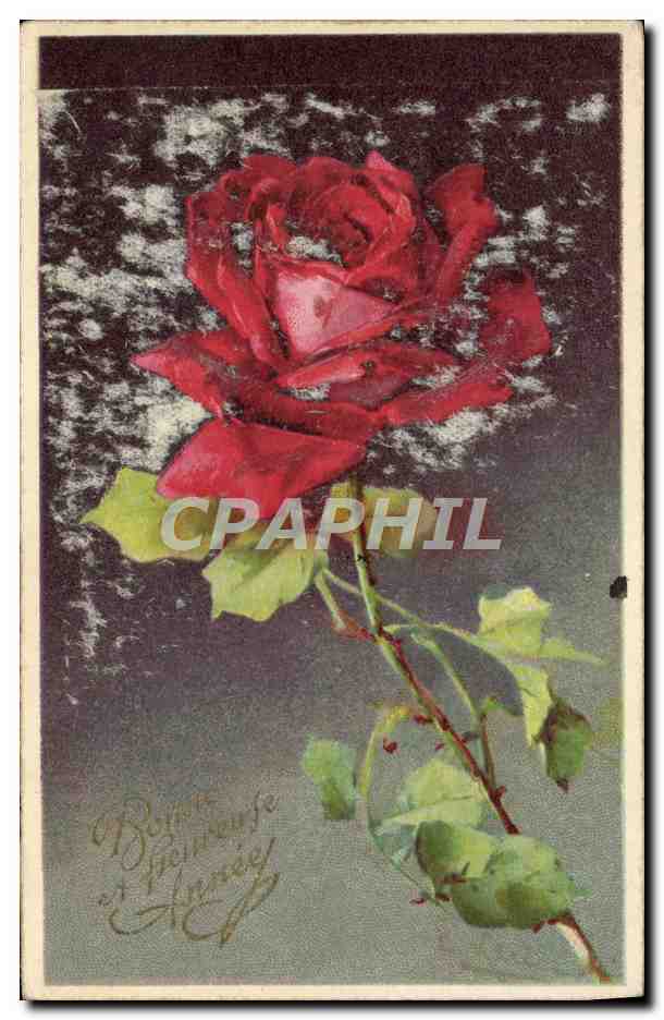 CPA Fantaisie Fleur Rose Bonne Annee