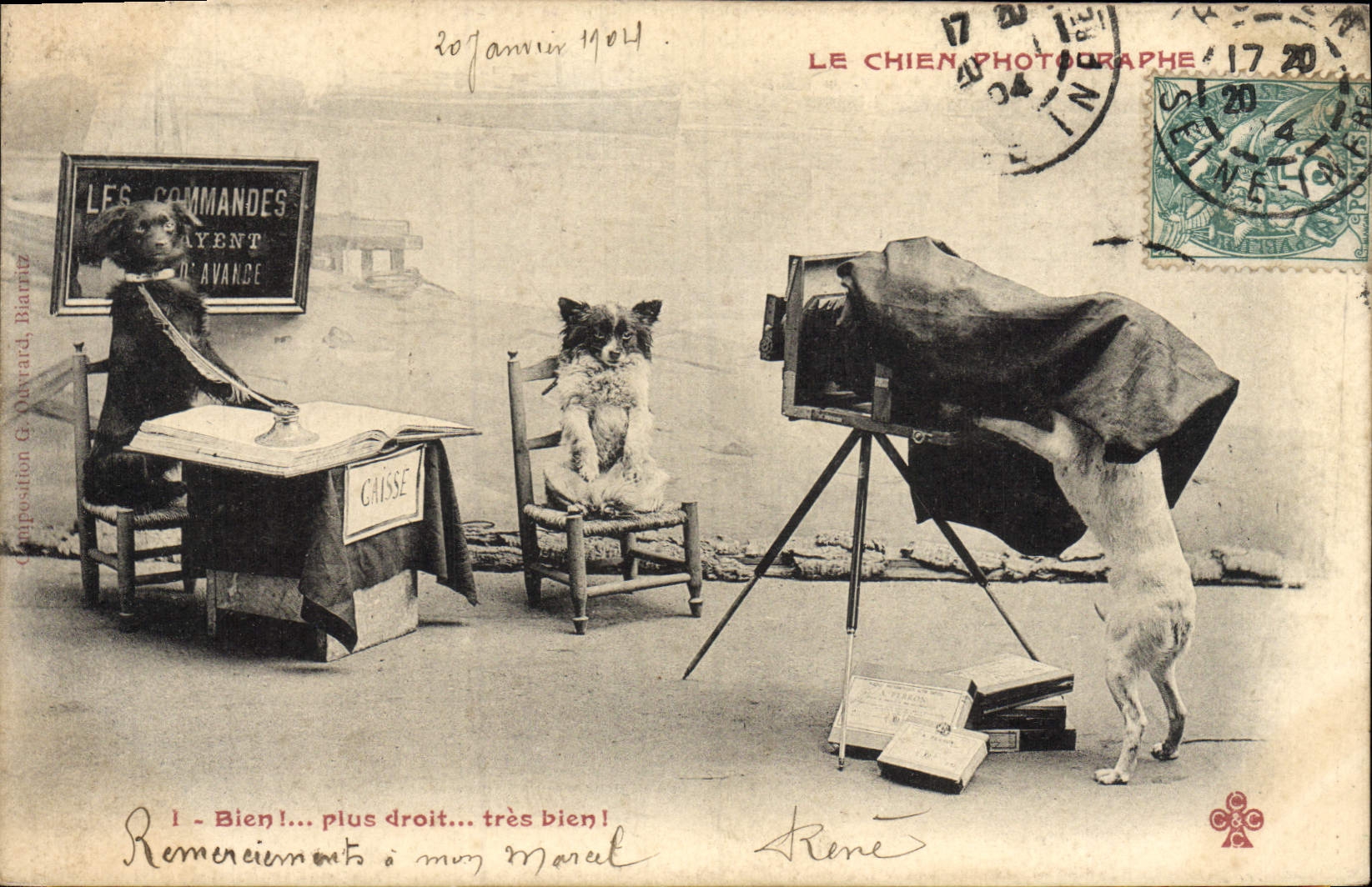 Chien photographe — scène humoristique avec trois chiens — composition G. Davard, Béarn