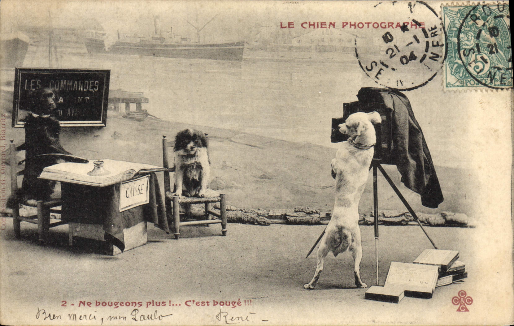 Le Chien Photographe — scène humoristique avec trois chiens — éditeur G. Ouvrard, Barcelone