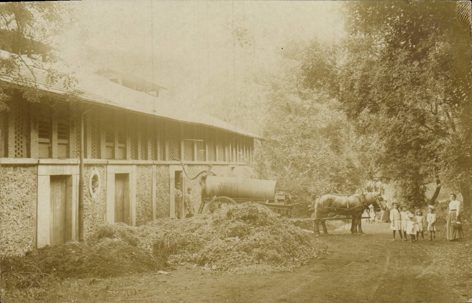 CARTE PHOTO Cuve attelage Cheval