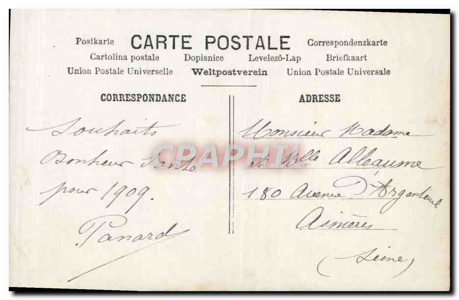 CPA Fantaisie Femme Cygne Bonne Annee — Verso
