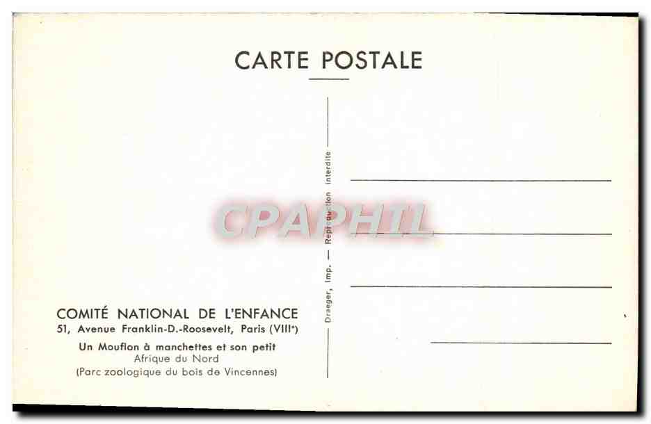 Un Mouflon à manchettes et son petit — Afrique du Nord — COMITÉ NATIONAL DE L'ENFANCE, Paris — Back