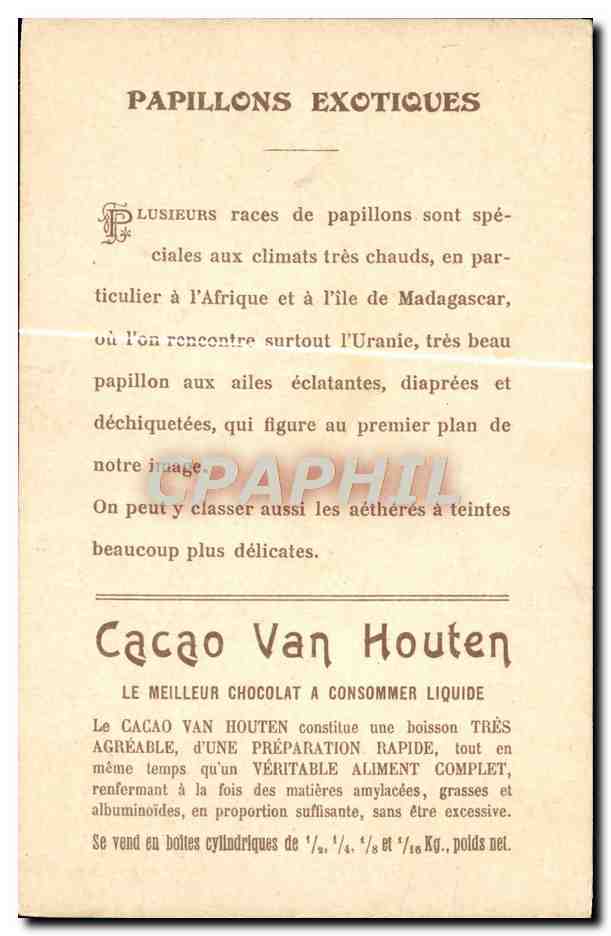 CPA Fantaisie Papillons exotiques Cacao Van Houten — Rückseite