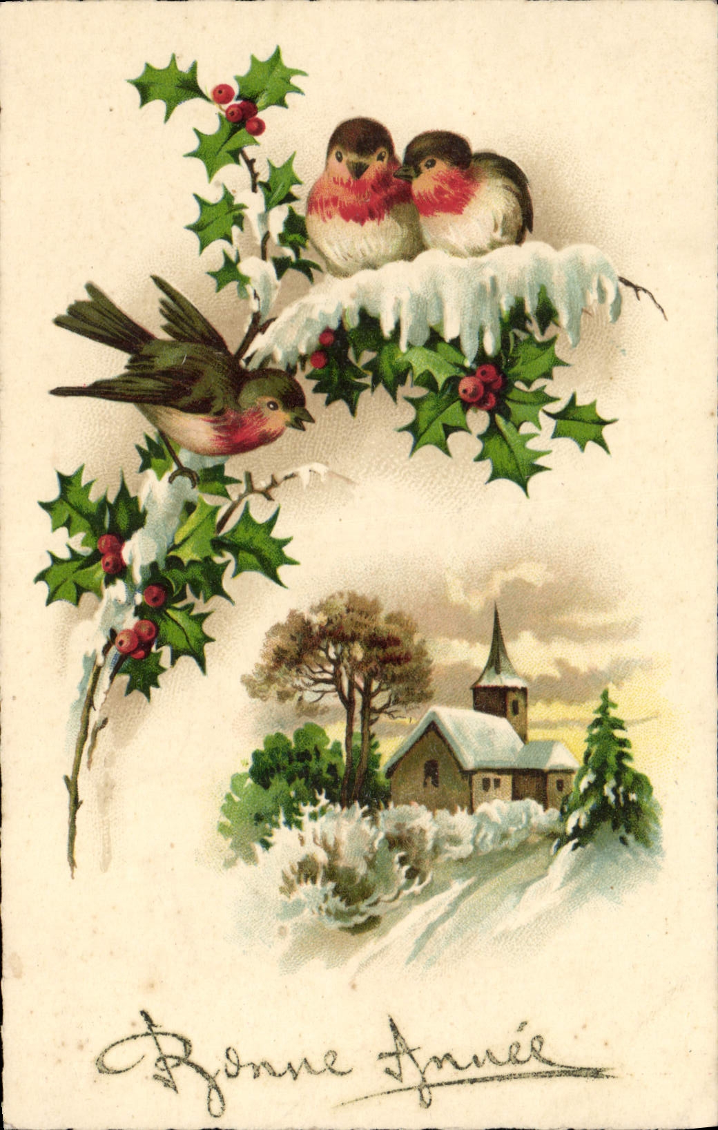 CPA Fantaisie Oiseaux Bonne annee