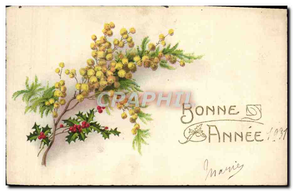 CPA Fantaisie Fleurs Bonne Annee