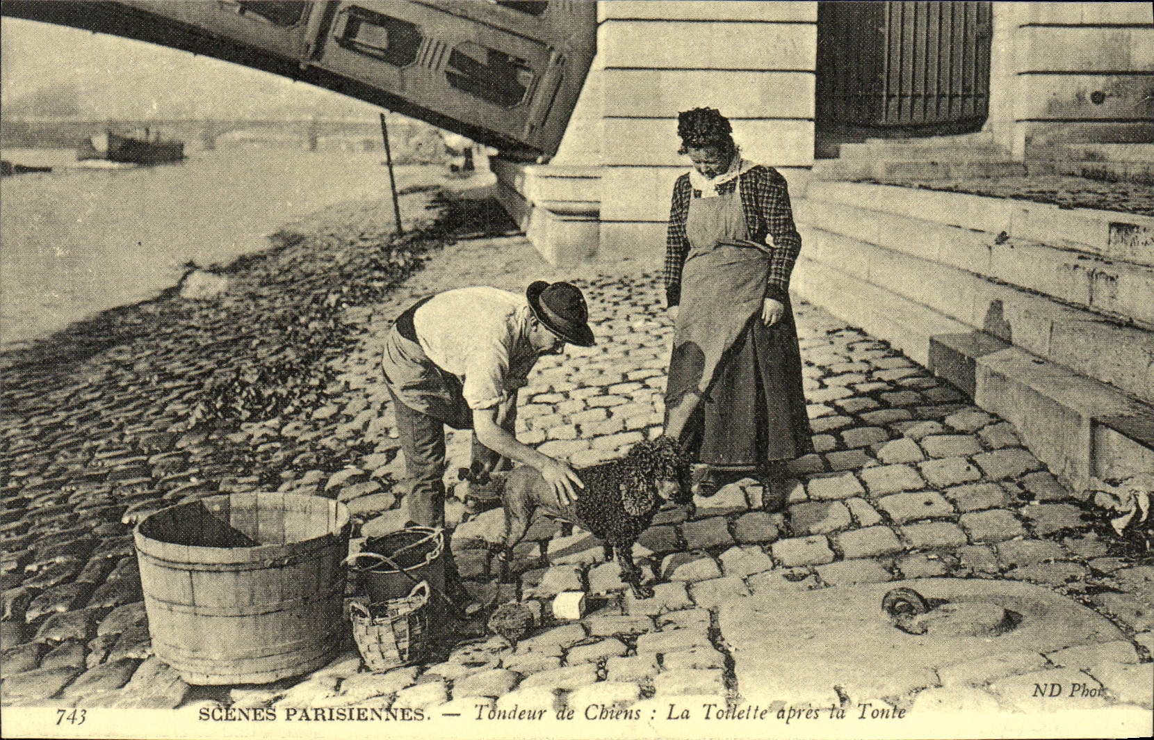 REPRO Scenes Parisiennes Tondeur De Chiens La Toilette Apres la Tonte Chien 
