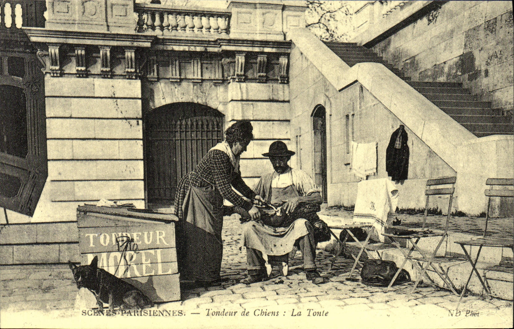 REPRO Scenes Parisiennes Tondeur De Chiens La Tonte Chien