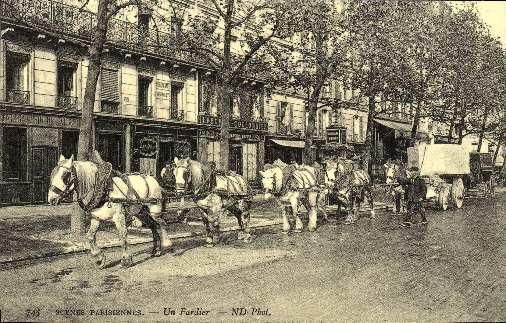 REPRO Scenes Parisiennes Un Fardier Cheval Chevaux