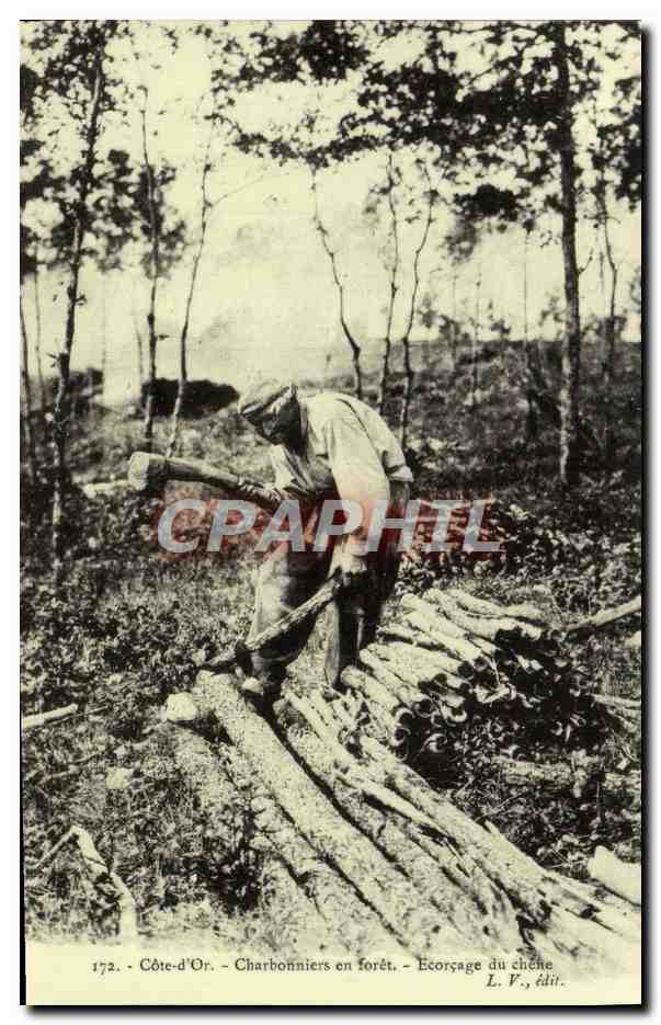 REPRO Cote d'Or Charbonnieres En Foret Ecorcage Du Chene Cote d'Or