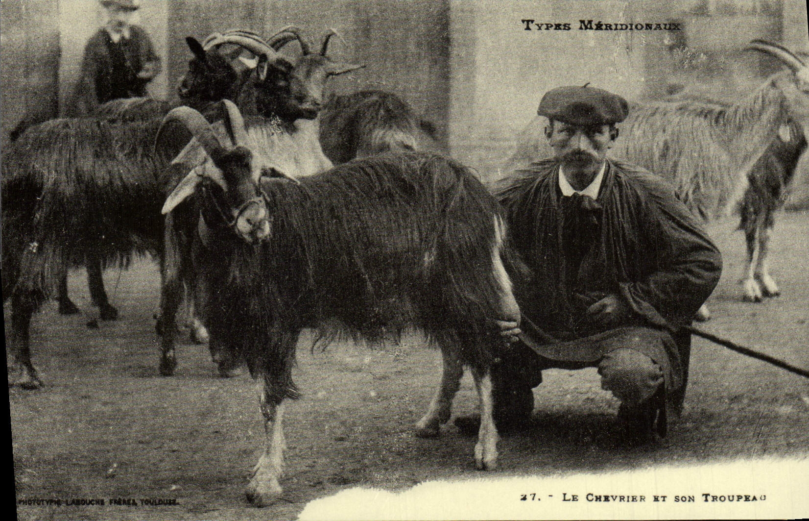 REPRO Types Meridionaux Le Chevrier Et Son Troupeau Chevre