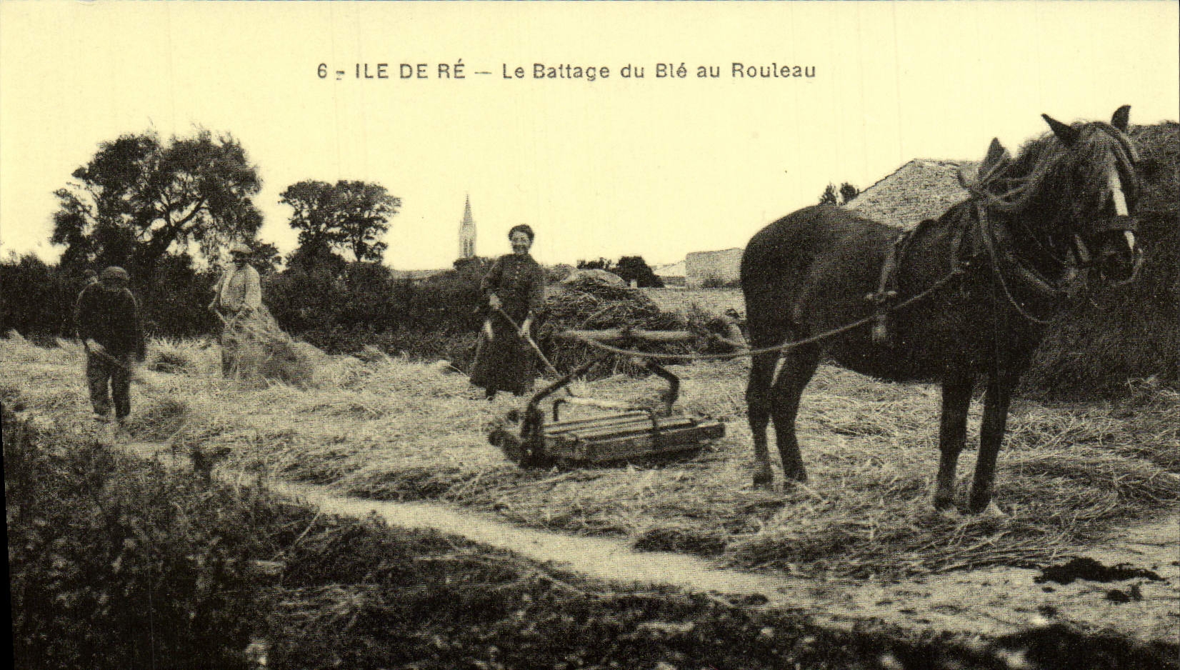 Ile de Ré — Le Battage du Blé au Rouleau — Cecodi
