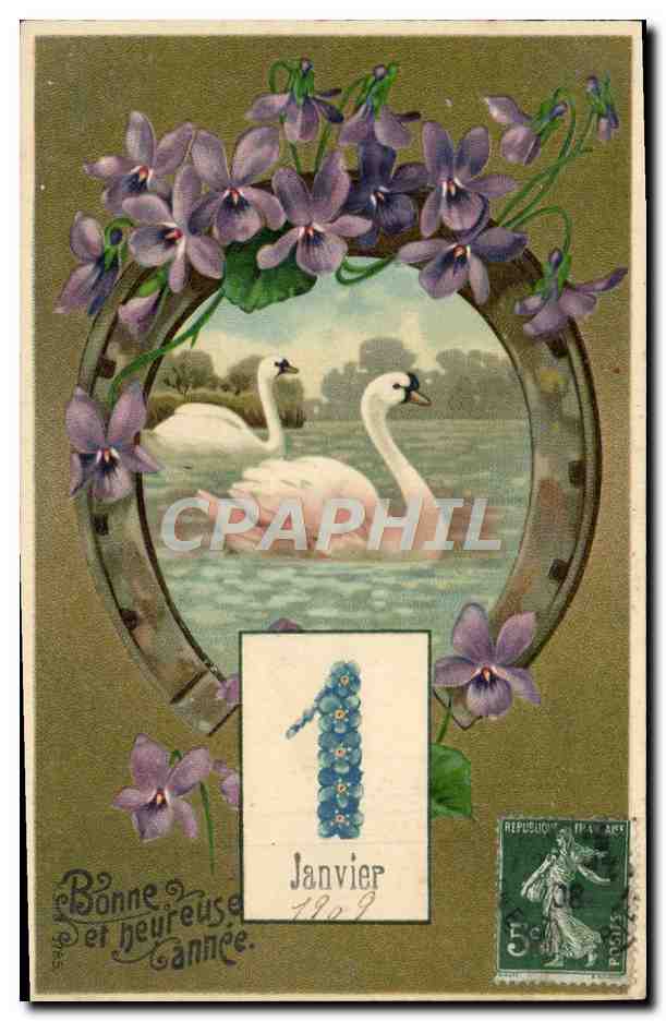 Deux cygnes — Janvier 1909 — éditeur non visible