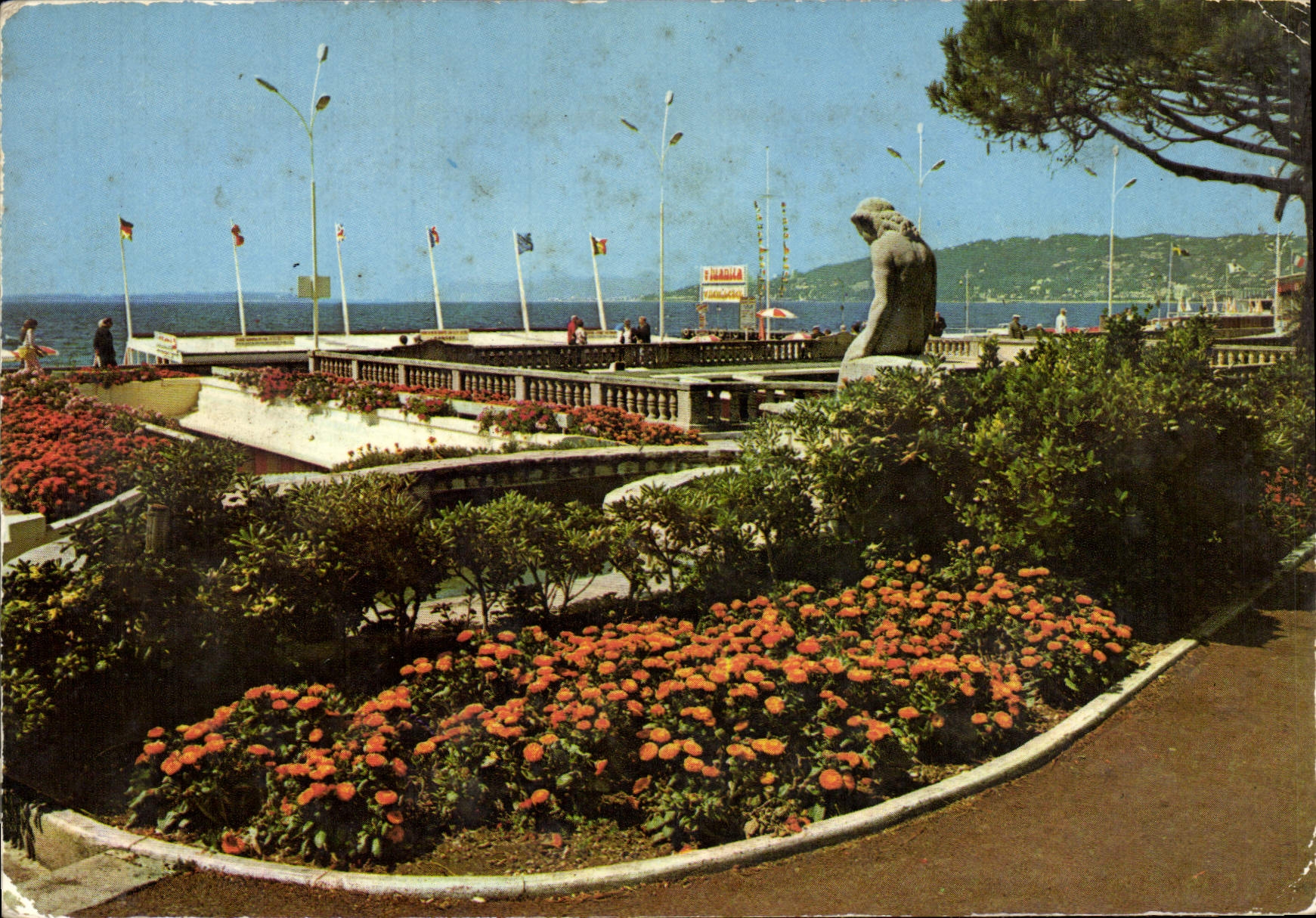 Juan-les-Pins — Jardins en bordure de la Pinède — Éditions d'Art Montluçon, n° 766