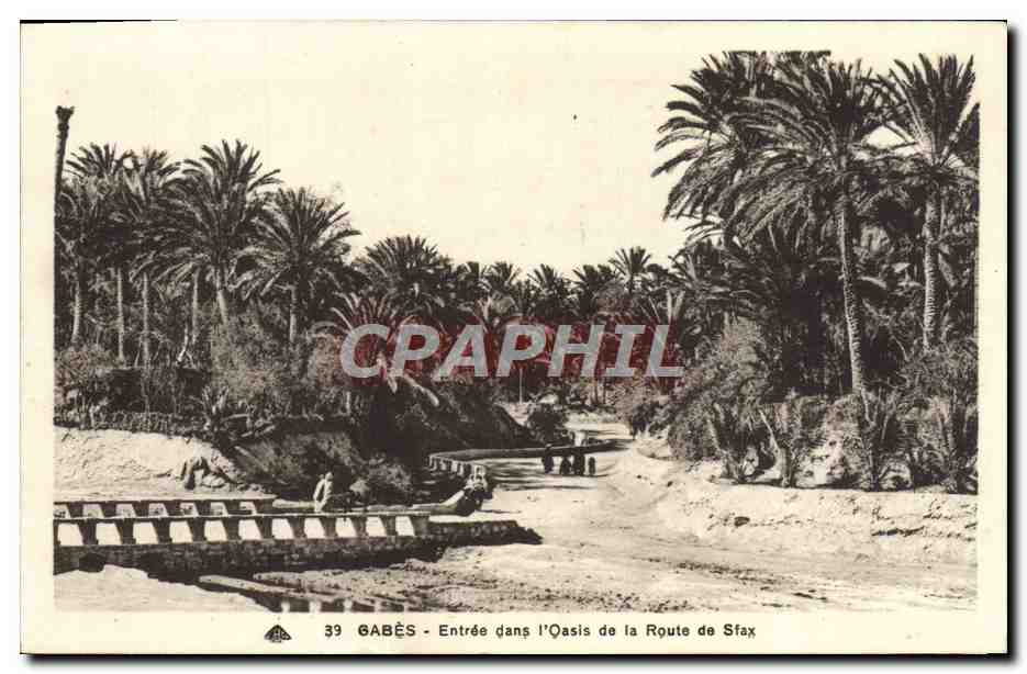 CPA Gabes Entree dans I'Oasis de la Route de Sfax