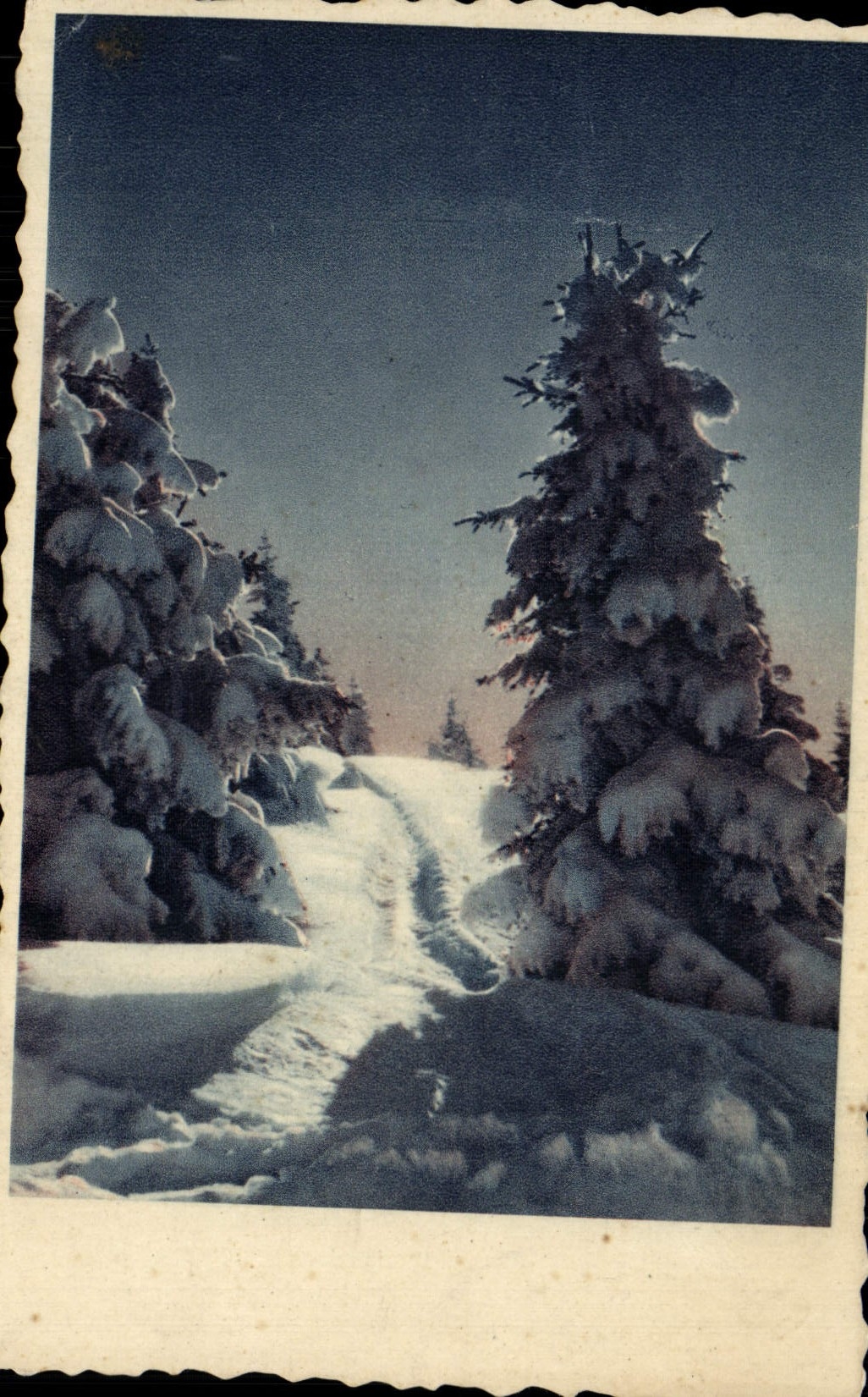 CPA Fantaisie Sapin sous la neige 
