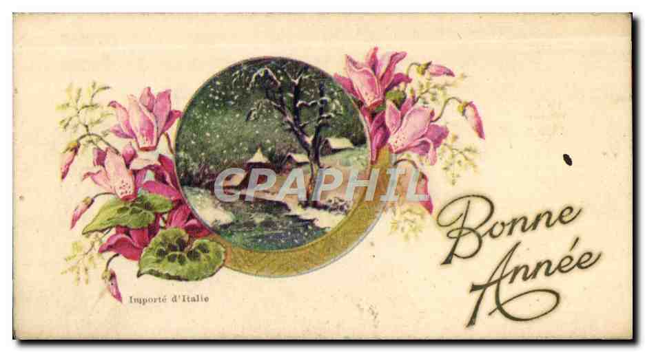 CPA Fantaisie Fleurs Bonne Annee