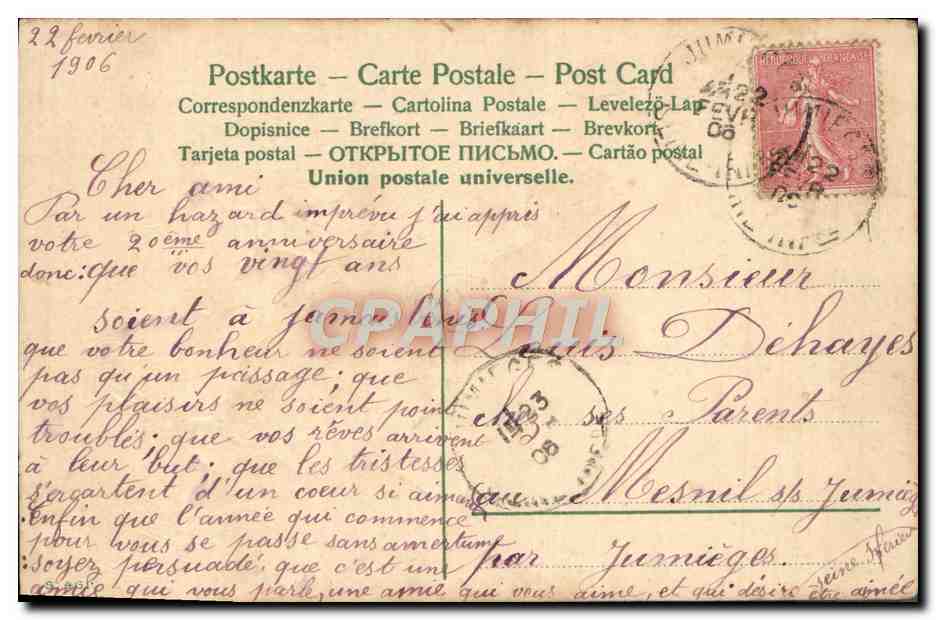 Fleurs printanières — Anniversaire — Carte postale multilingue — Verso