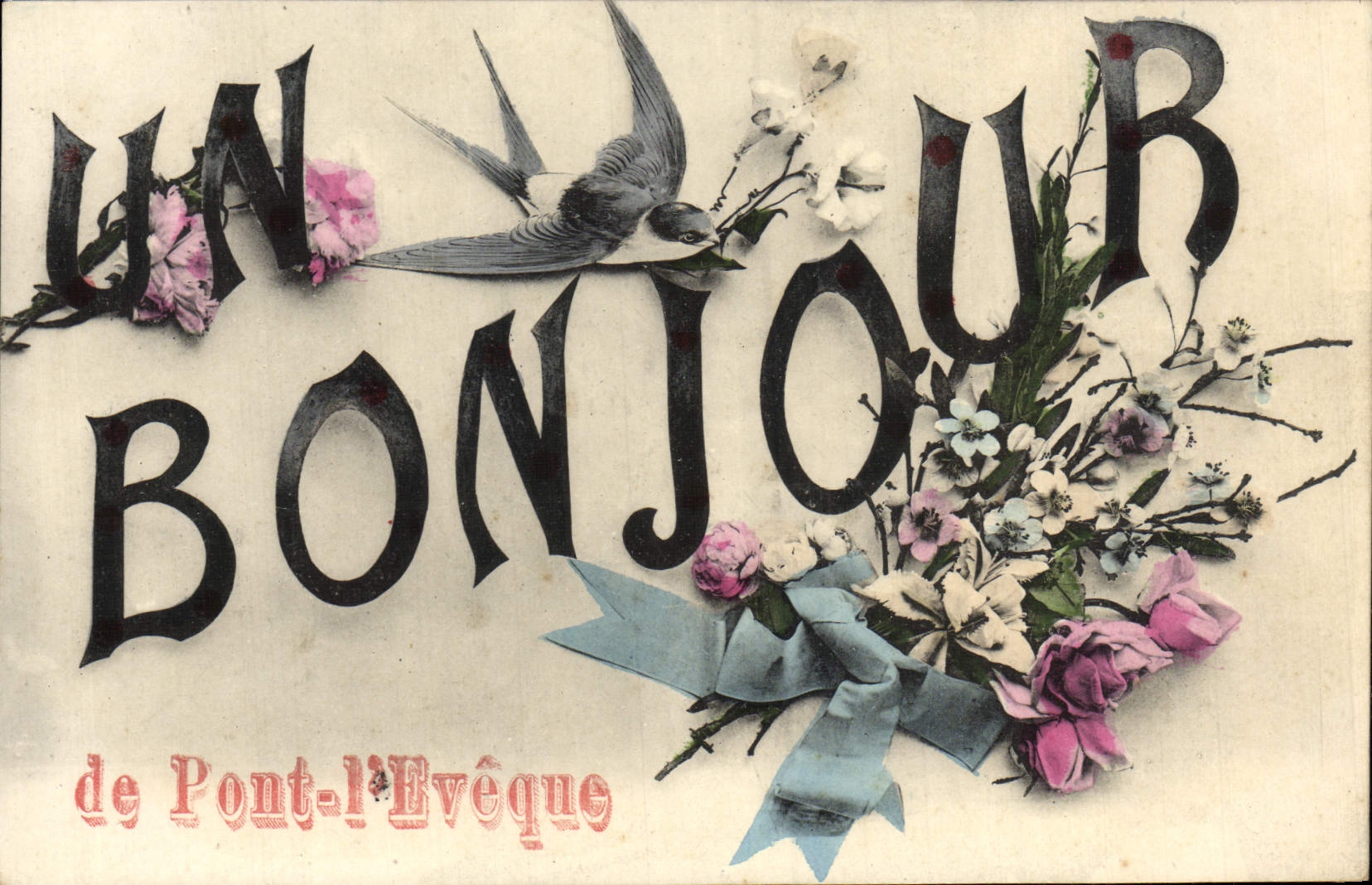 CPA Fantaisie Hirondelle Souvenir de Pont l'Eveque