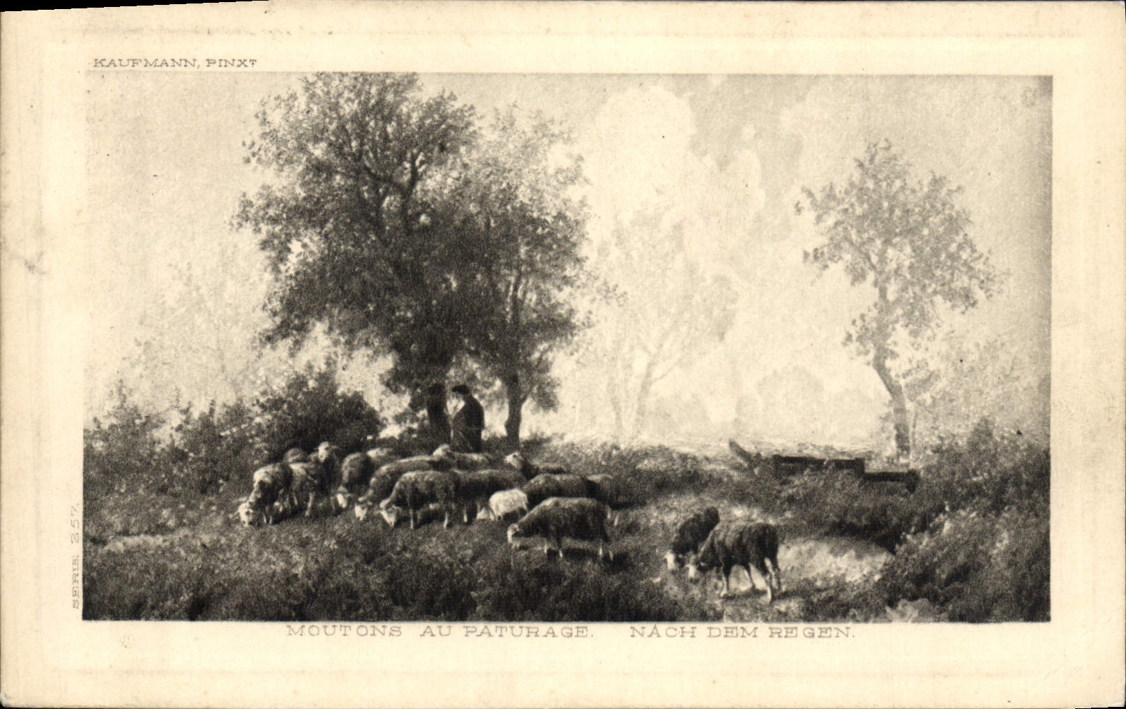 CPA Moutons au paturage Kaufmann 