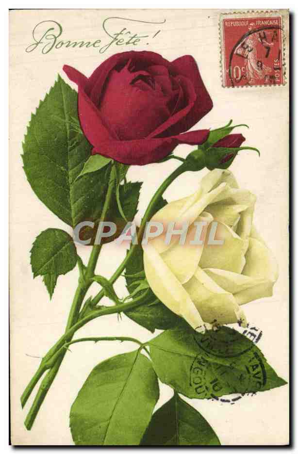 CPA Bonne Fete Fleurs Roses