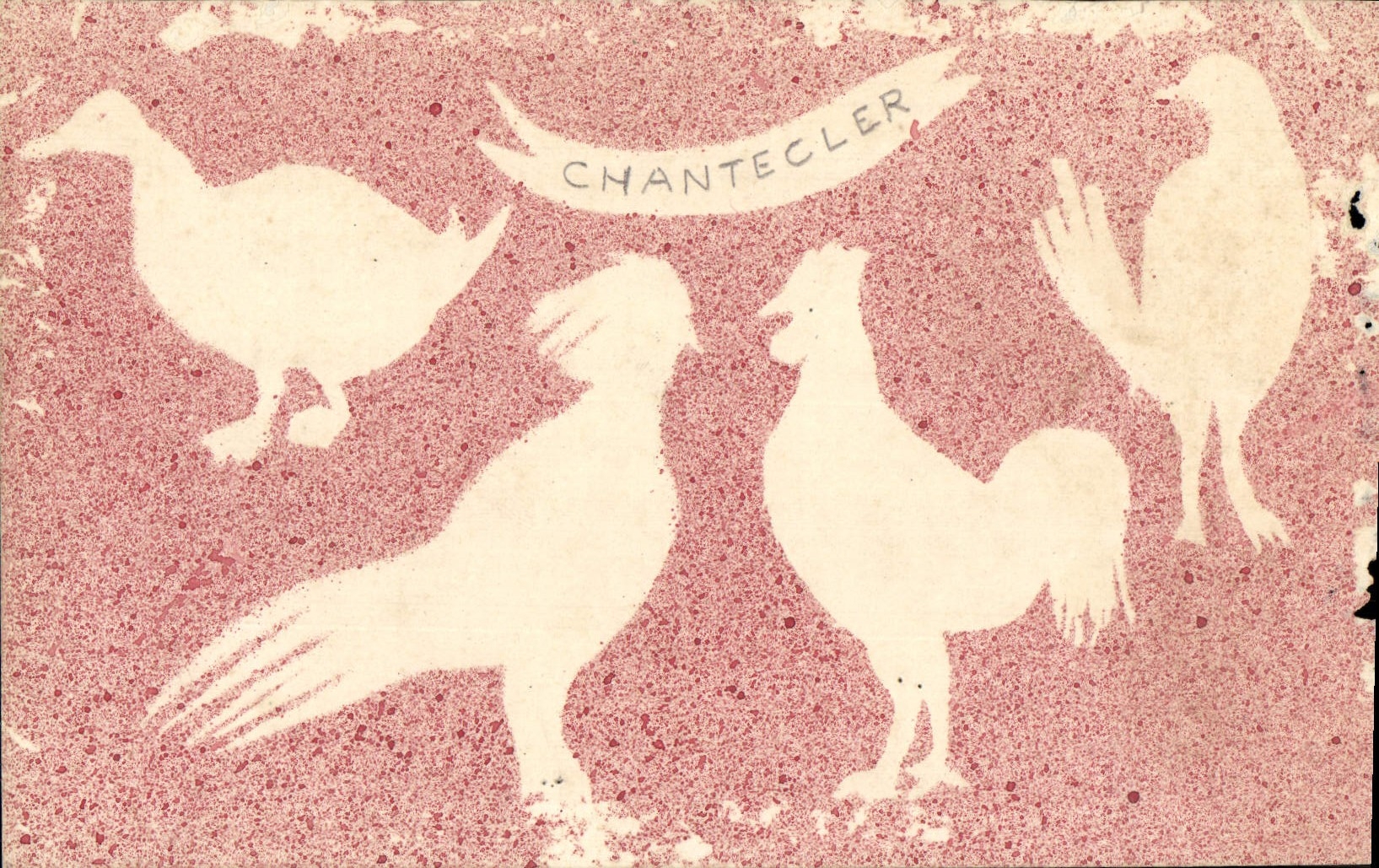 Antike Ansichtskarte Halbmoderne Ansichtskarte Hahn Chantecler